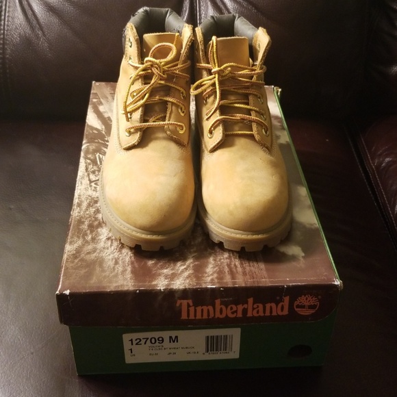 Timberland Other - ✨✨HP AUTH BOY/GIRL YOUTH TIMBERLAND BOOTS SIZE 1✨✨